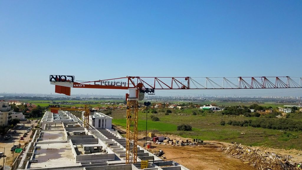 עגורני צריח ברצף של שמונה שנים בשכונת כרמי גת קריית גת – דונה - תמונה 2 | רמא