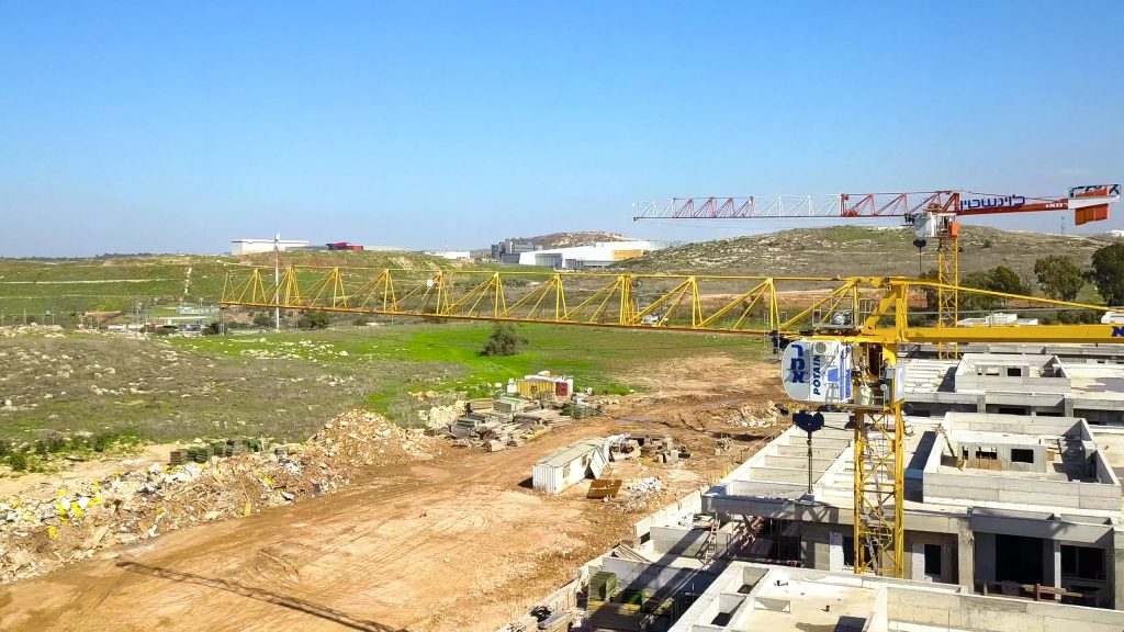 עגורני צריח ברצף של שמונה שנים בשכונת כרמי גת קריית גת – דונה - תמונה 3 | רמא